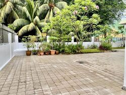 Upper East Coast Road (D16), Terrace #503431911